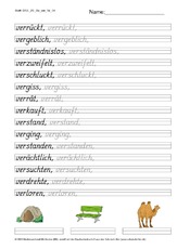 DSS_2S_Bu_ver_Nr_04.pdf